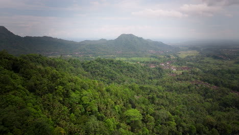 Exuberante-Pendiente-Boscosa-Tropical-Verde-Con-Pequeñas-Casas-De-Pueblo,-Sidemen-Bali