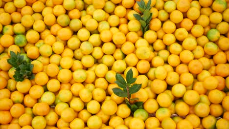 close up of a pile of oranges