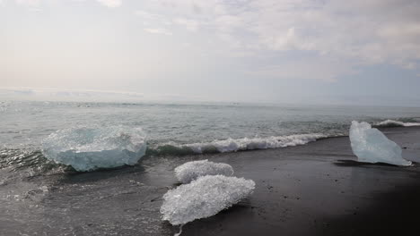 iceberg pieces from a glacier calving on a black sand beach, handheld shot