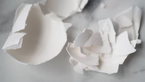 broken egg shells