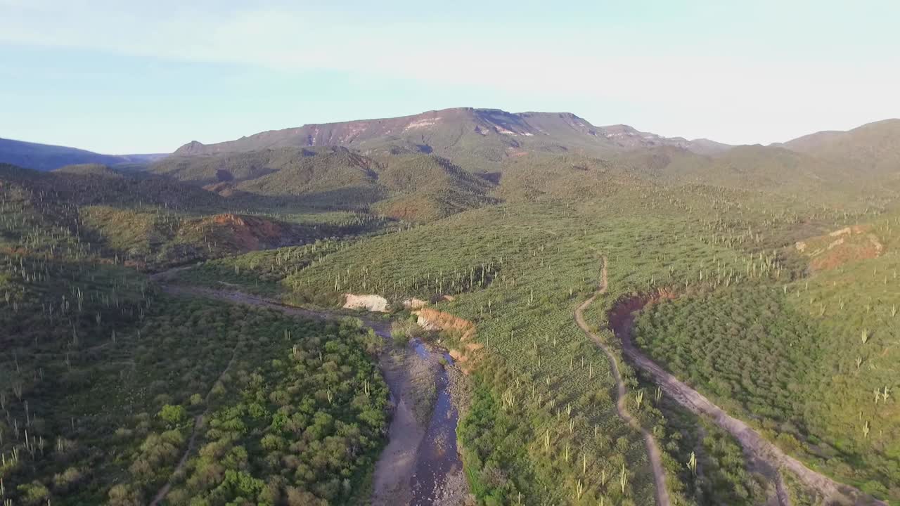 Drone Creek in Mountains with Cacti and Trails