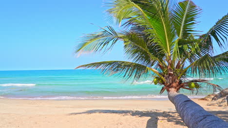 waves beat the sands of a deserted tropical beach