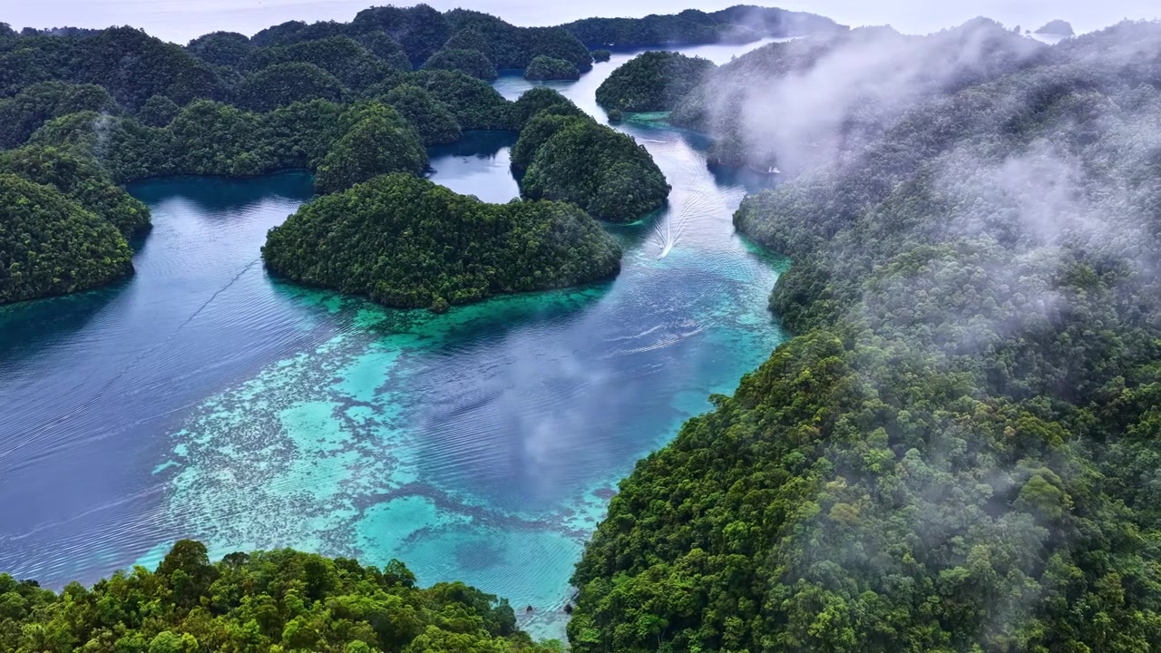 Vista aerea con drone del Santuario delle Meduse di Sohoton nelle Filippine rivela lagune turchesi, isole verdi lussureggianti e cieli nebbiosi