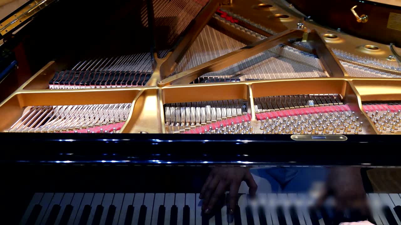 피아니스트는 피아노를 연주합니다.