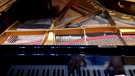 el pianista toca el piano.