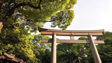 ootorii meiji jingu shrine largest wooden myojin-style torii gate tokyo japan