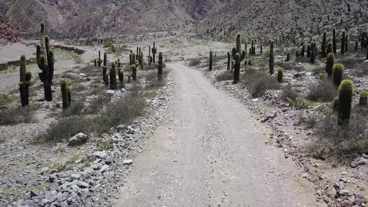 paisaje desértico del noroeste de argentina