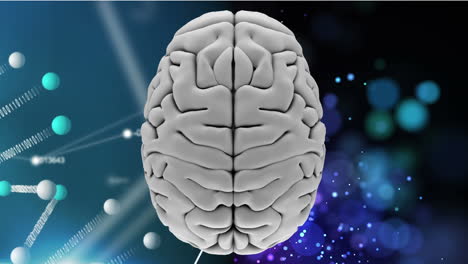 cerebro blanco con detalles químicos de fondo