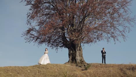 Frischvermählte.-Kaukasischer-Bräutigam-Mit-Braut-In-Der-Nähe-Eines-Schönen-Herbstbaums.-Hochzeitspaar