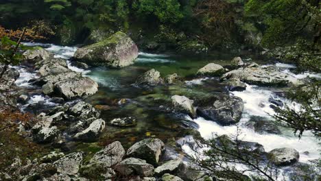 slow motion of beautiful idyllic stream flowing between rocks and plants in nature