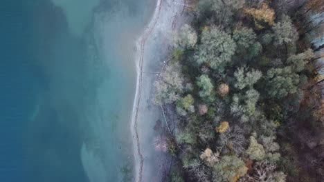 birds eye view on a white coast with trees along a crystal blue lake with different shades of blue