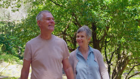 Pareja-Madura-Caminando-Juntos-Por-El-Sendero-Del-Bosque