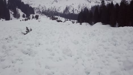 Lawinenauslaufzone-In-Den-Alpen,-Österreich,-Kleinwalsertal,-Schlechtes-Wetter