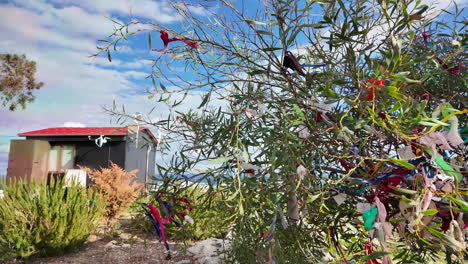 Tree-with-colorful-ribbons-and-an-outdoor-setting