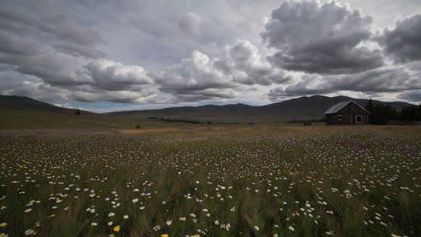 mountain meadow with cabin and clouds