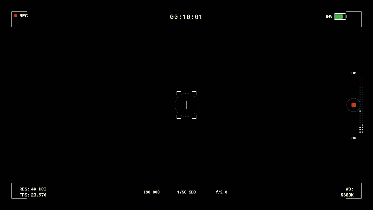 Digital Camera Viewfinder Overlay with Recording Interface
