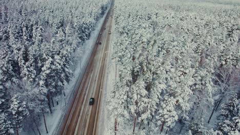 snowy forest road with cars