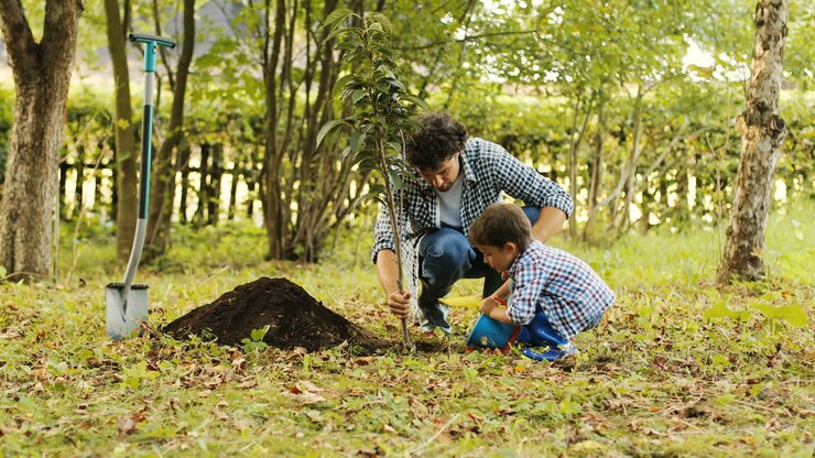 Close up. Portrait of a little boy and his dad planting a tree. Man holds the tree ans the boy puts puts some soil on the roots. Then - stands up. Blurred background