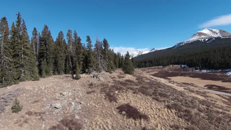 4k fpv montaña y a través del árbol.