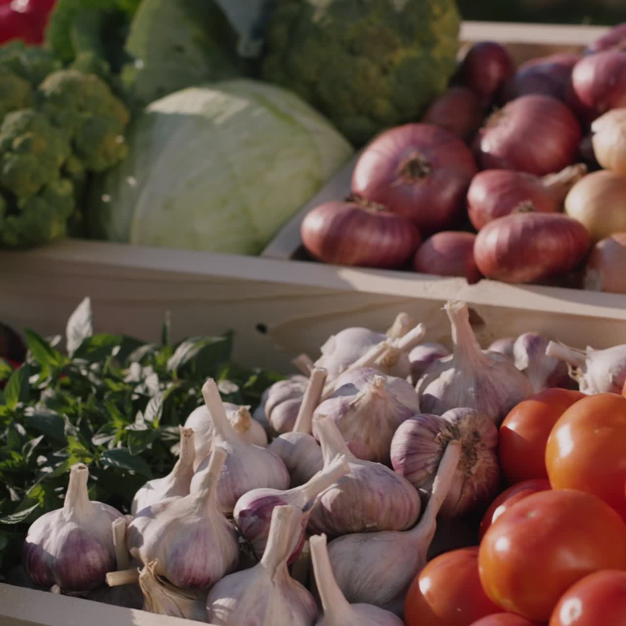 Counter with seasonal vegetables at the farmers' market