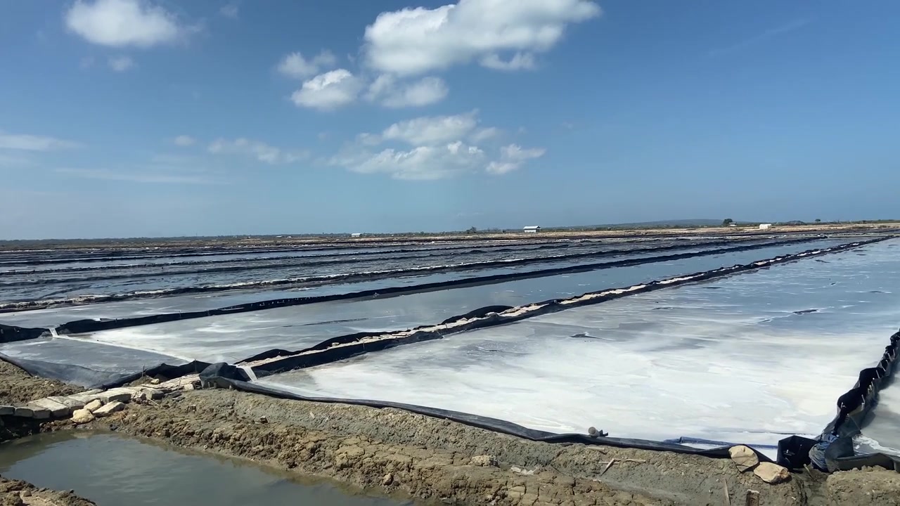 Salinas com Cristais Brancos Sob Céu Azul