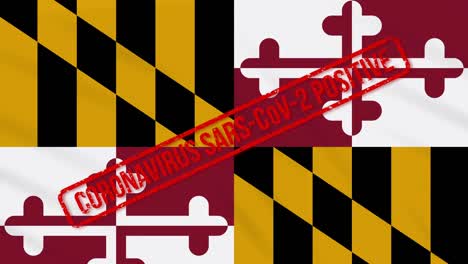 maryland, estado de estados unidos, bandera balanceada estampada con respuesta positiva a la covid-19, bucle
