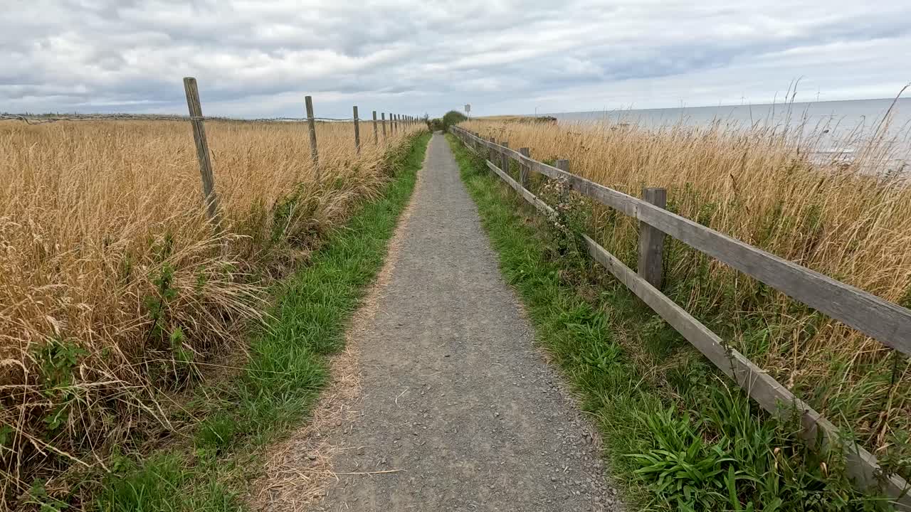 Point-of-view walk down a gravel path bordered by tall wheat and wooden fencing, under overcast skies near the coast, with steady forward camera movement