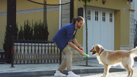 young man and woman playing with a labrador dog on the street on a sunny day 2