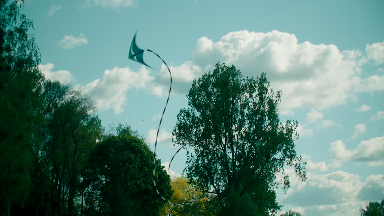 화창한 여름날 푸른 하늘을 나는 화려한 연날리기