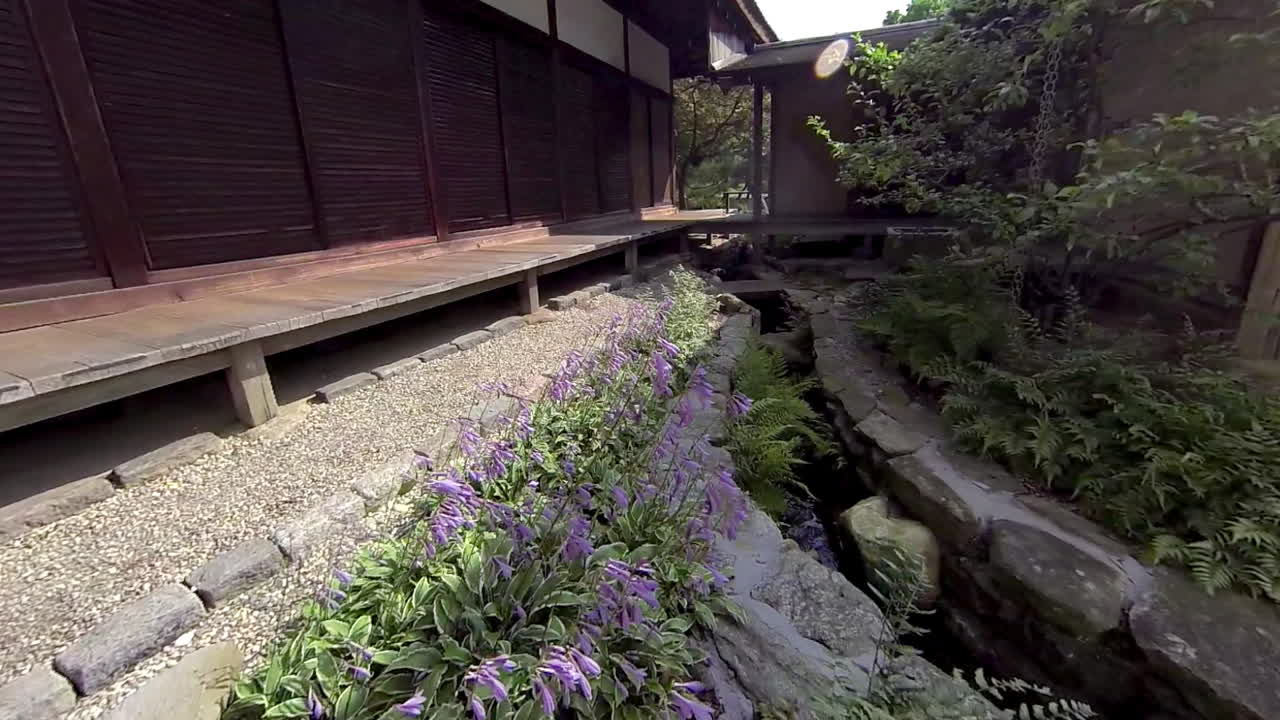 tiro de steadicam moviéndose a través de un jardín y arroyo de paisaje seco japonés