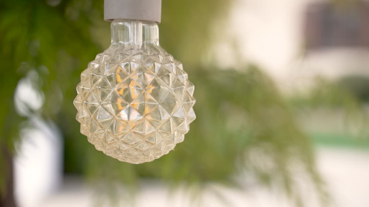 A clear glass light bulb hangs gracefully in an outdoor garden filled with lush greenery. The light creates a warm glow, adding charm to the tranquil environment