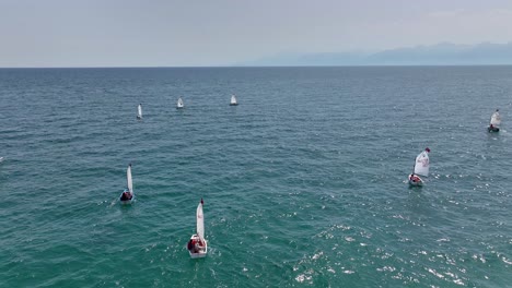 sailing competition on the ocean