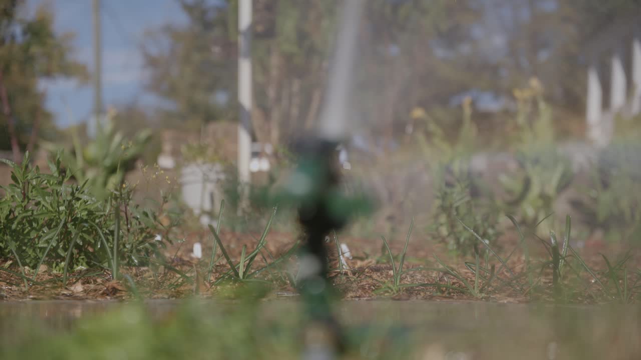 Filmato di un giardino annaffiato da un irrigatore sfocato.