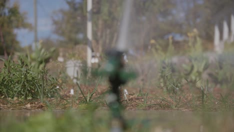 Footage-of-a-yard-being-watered-by-a-sprinkler-that-is-out-of-focus