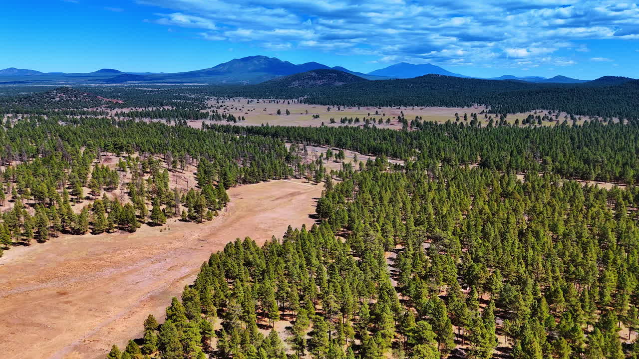 Flight over the deserted landscape covered with pine trees. Approaching the verdant mountains under the cloudy sky. Arizona, USA