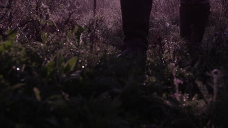 a hunter walking in a grassland-forest