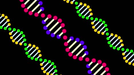 animazione di molecole e filamenti di dna che girano