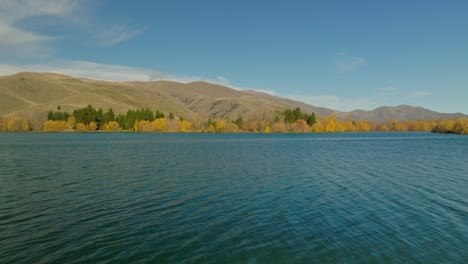 Wairepo-Arm-Lake-Tagsüber-In-Der-Herbstsaison-Mit-Gelben-Bäumen-Am-Ufer