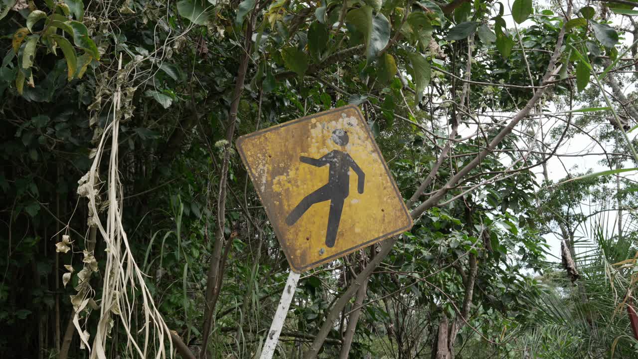 Weathered yellow sign traffic pedestrian crossing zone sign, overgrown vegetation