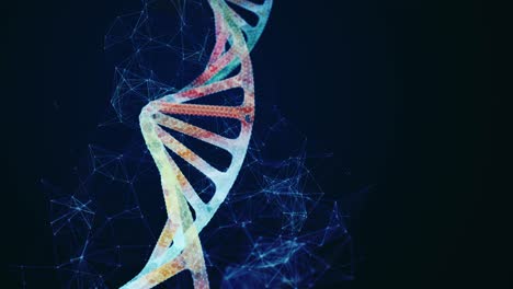 abstract shape of dna molecule animation background