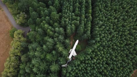 escena única, avión comercial aterrizado oculto en el bosque