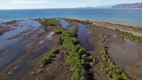 laguna de marea natural con manglares rodeada de un cinturón de arena en la costa del mar adriático en albania