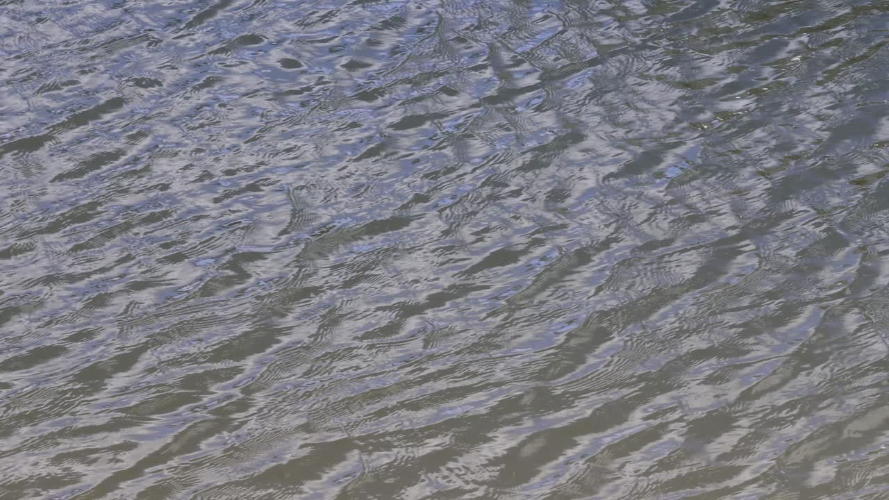 물의 질감과 빛의 점진적인 변화