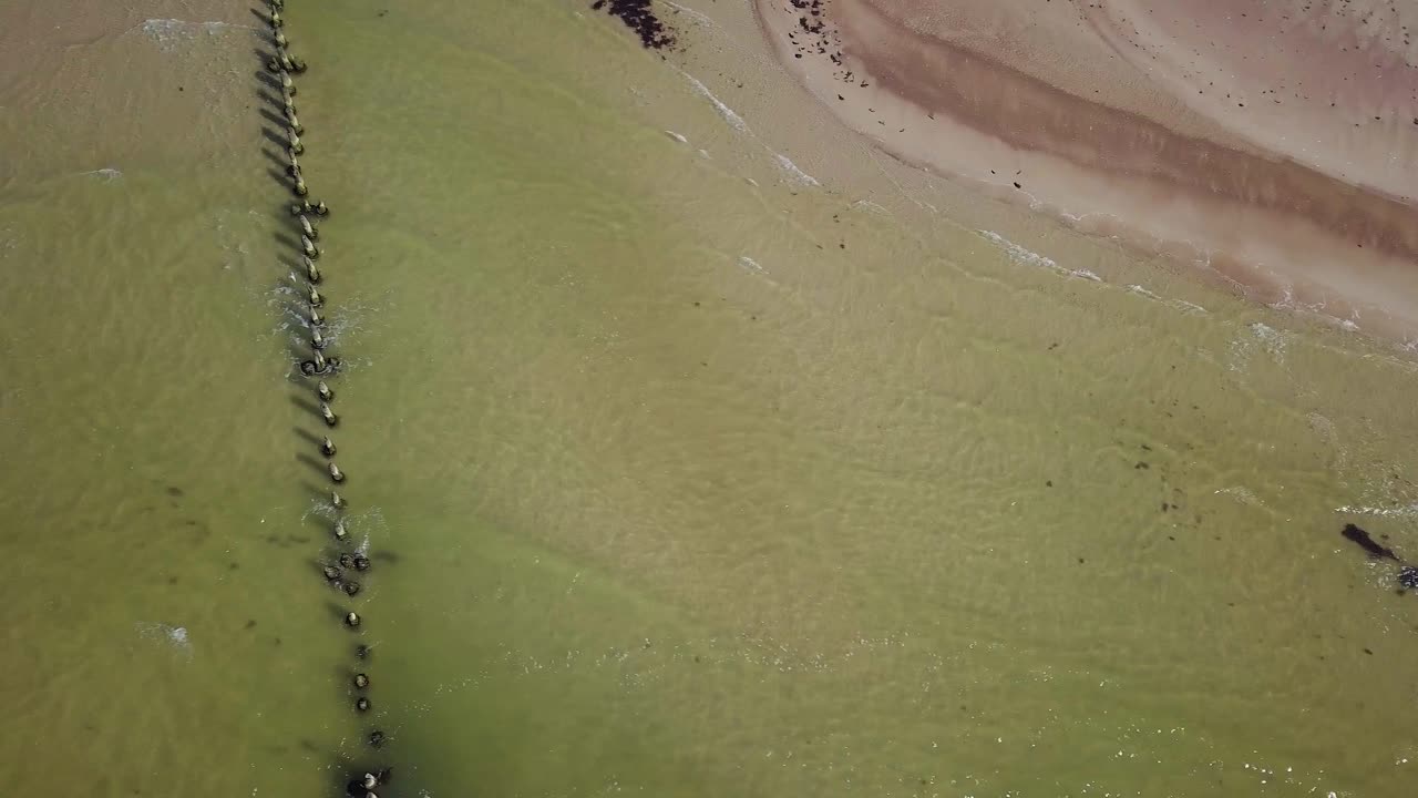 화창한 날 발트해 연안의 공중 조감도, 오래된 목조 부두, 파도로 손상된 백사장 해변, 해안 침식, 기후 변화, 광각 드론 돌리 샷이 왼쪽으로 이동