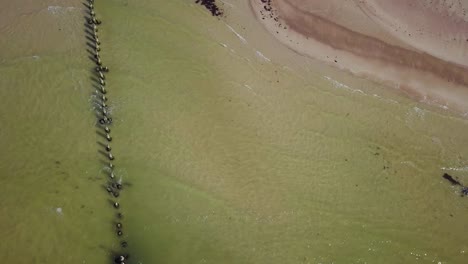 Aerial-birdseye-view-of-Baltic-sea-coast-on-a-sunny-day,-old-wooden-pier,-white-sand-beach-damaged-by-waves,-coastal-erosion,-climate-changes,-wide-angle-drone-dolly-shot-moving-left