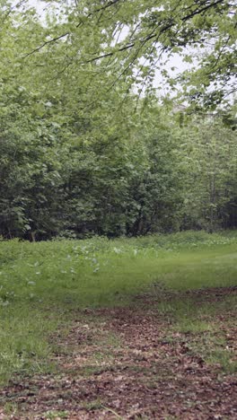 Vertical-Video-Of-Man-On-Mountain-Bike-Cycling-Along-Dirt-Trail-Through-Woodland-6