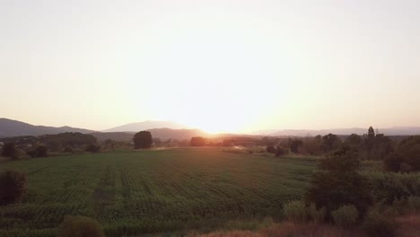 Aerial-drone-shot-flying-forward-over-green-fields-approaching-the-sunset