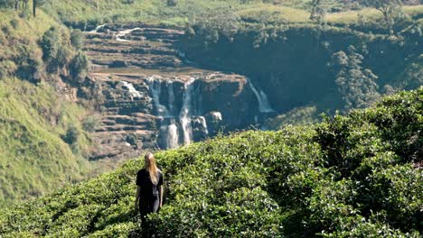 editorial drone shot of a woman walking through the lush saint clair’s tea plantations in nuwara eliya, sri lanka, with the iconic saint clair’s waterfall visible in the background.