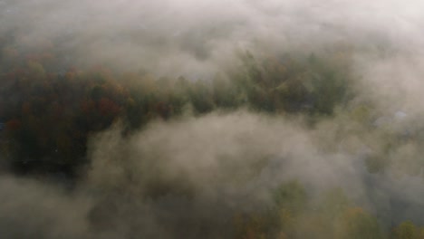 thick clouds over dense forest and river in autumn in sherbrooke, quebec, canada