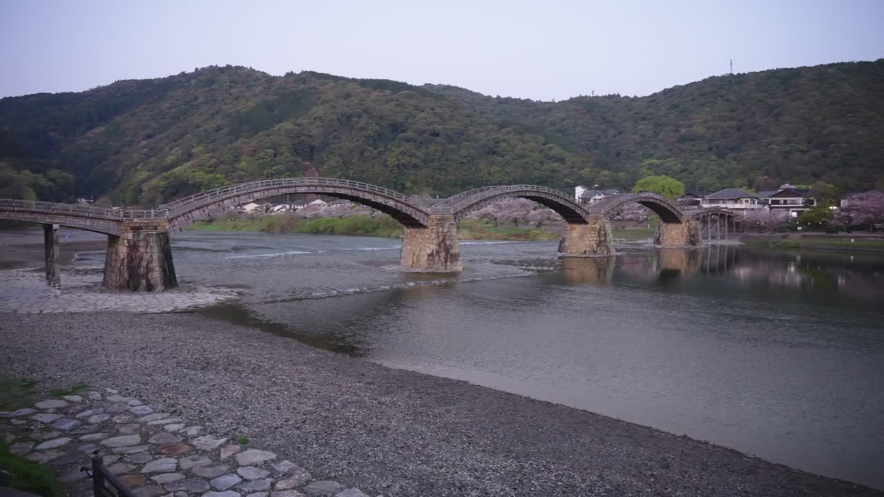 Pan over Iwakuni Kintaikyo Bridge in Spring, Sakura Blooming over River